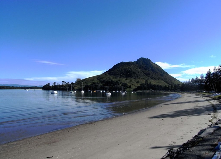 Mt Maunganui apartments